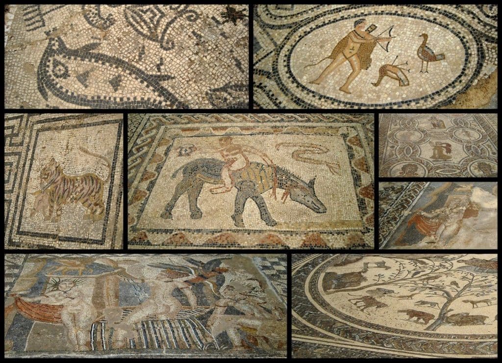 Roman marble floor mosaics, Volubilis